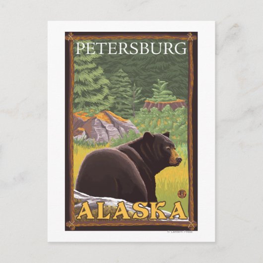 Schwarzer Bär im Wald - Petersburg, Alaska Postkarte (Vorderseite)