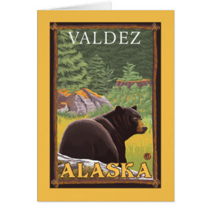 Schwarzer Bär im Wald - Valdez, Alaska