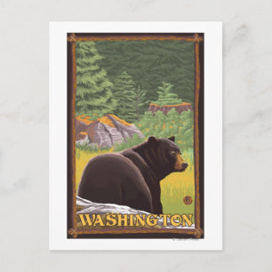 Schwarzer Bär im Wald - Washington Postkarte