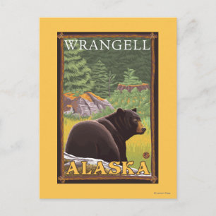 Schwarzer Bär im Wald - Wrangell, Alaska Postkarte