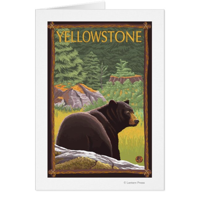 Schwarzer Bär im Wald - Yellowstone Nationalpark (Vorne)