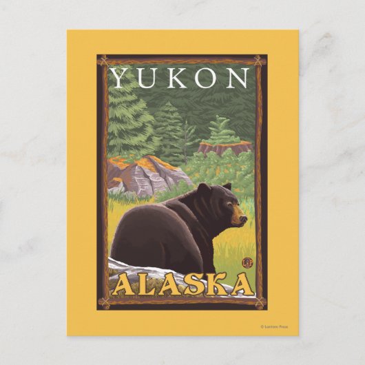 Schwarzer Bär im Wald - Yukon, Alaska Postkarte (Vorderseite)