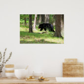 Schwarzer Bär in der Nähe des Campingplatzes Poster (Küche)