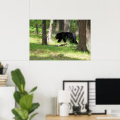 Schwarzer Bär in der Nähe des Campingplatzes Poster (Heimbüro)