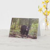 Schwarzer Bär Karte (Gelbe Blume)