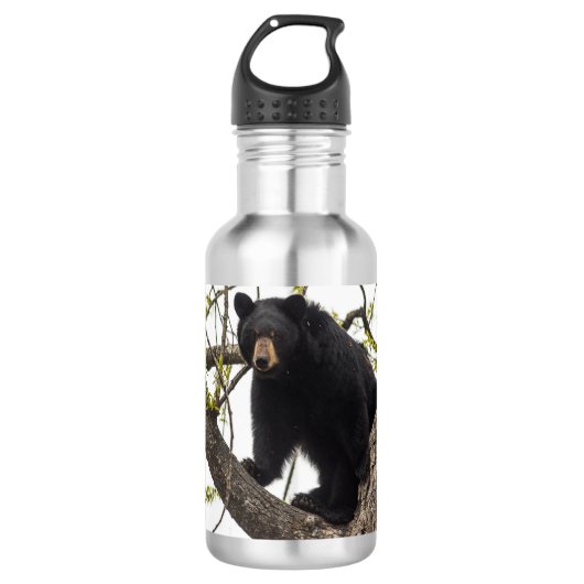 Schwarzer Bär klettern Edelstahlflasche (Vorderseite)