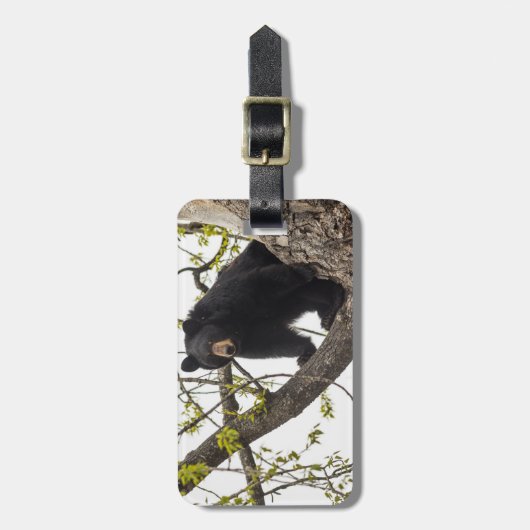 Schwarzer Bär klettern Gepäckanhänger (Vorderseite vertikal)