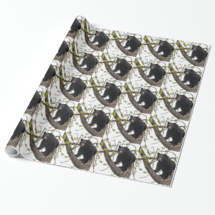 Schwarzer Bär klettern Geschenkpapier