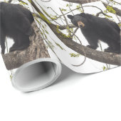 Schwarzer Bär klettern Geschenkpapier (Rolleneckpunkt)