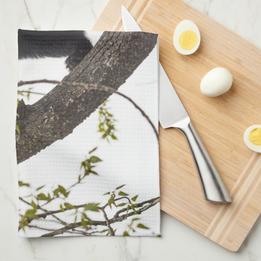 Schwarzer Bär klettern Geschirrtuch (Viertel Falte)