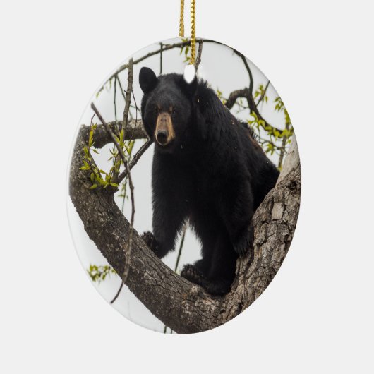 Schwarzer Bär klettern Keramik Ornament (Rechts)