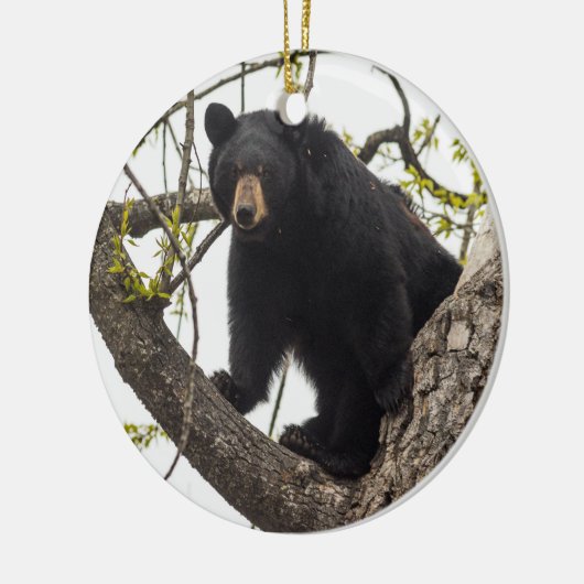 Schwarzer Bär klettern Keramik Ornament (Links)