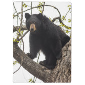 Schwarzer Bär klettern Klemmbrett (Rückseite)