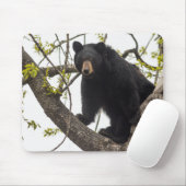 Schwarzer Bär klettern Mousepad (Mit Mouse)
