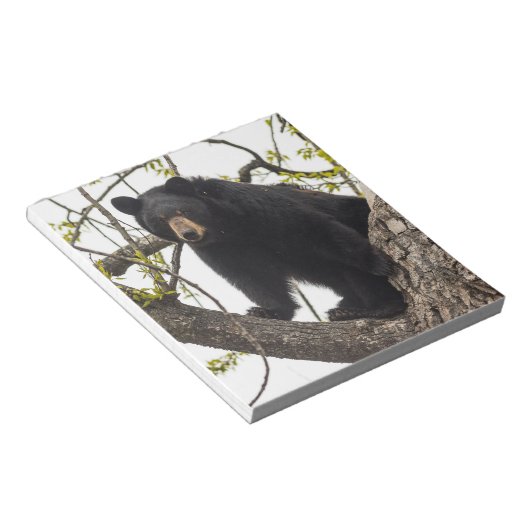 Schwarzer Bär klettern Notizblock (angewinkelt)