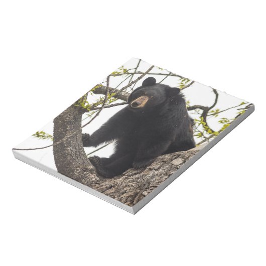 Schwarzer Bär klettern Notizblock (Rotiert)