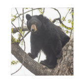 Schwarzer Bär klettern Notizblock (Vorderseite)