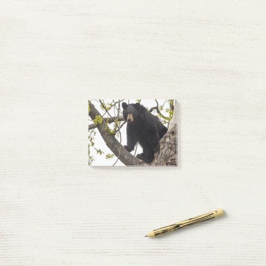 Schwarzer Bär klettern Post-it Klebezettel (Auf Schreibtisch)