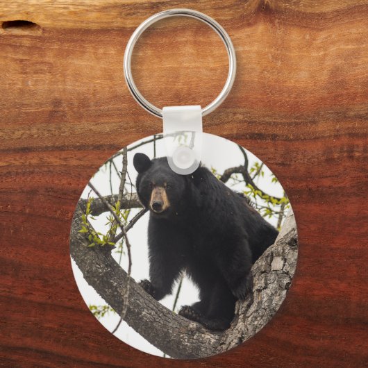 Schwarzer Bär klettern Schlüsselanhänger (Vorderseite)