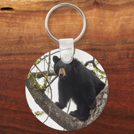 Schwarzer Bär klettern Schlüsselanhänger (Vorderseite)