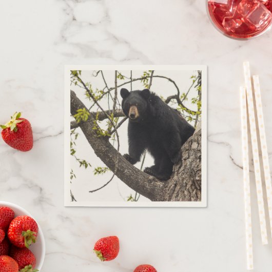 Schwarzer Bär klettern Serviette (Beispiel)