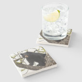 Schwarzer Bär klettern Steinuntersetzer (Seitenansicht)