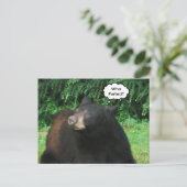 Schwarzer Bär - "Kubby, der gefallen hat?" Postkarte (Stehend Vorderseite)