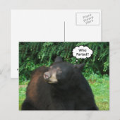 Schwarzer Bär - "Kubby, der gefallen hat?" Postkarte (Vorne/Hinten)
