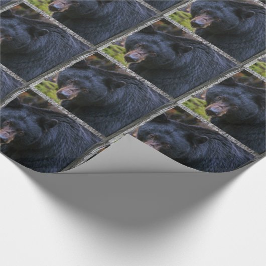 Schwarzer Bär Magesty Geschenkpapier (Ecke)