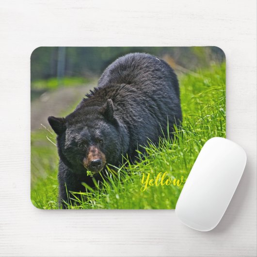 Schwarzer Bär Mäusec$auflage-yellowstone Mousepad (Mit Mouse)