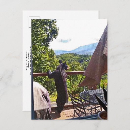 Schwarzer Bär mit Blick auf Gatlinburg Postkarte (Vorne/Hinten)