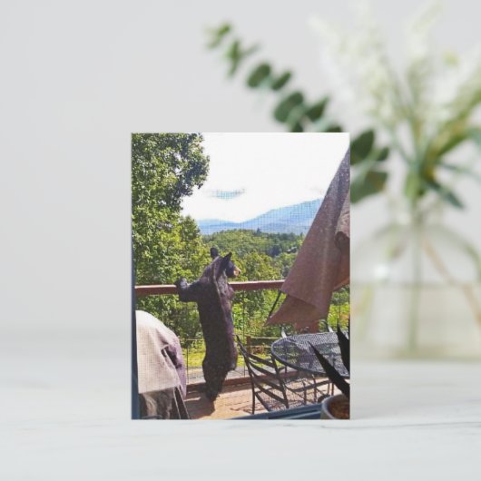 Schwarzer Bär mit Blick auf Gatlinburg Postkarte (Stehend Vorderseite)