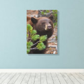 Schwarzer Bär mit Blond Color Leinwanddruck (Insitu (Holzboden))