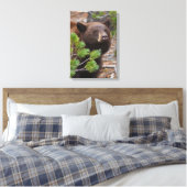 Schwarzer Bär mit Blond Color Leinwanddruck (Insitu (Schlafzimmer))