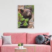 Schwarzer Bär mit Blond Color Leinwanddruck (Insitu (Wohnzimmer))