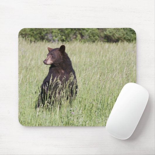 Schwarzer Bär Mousepad (Mit Mouse)