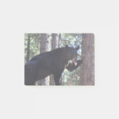 Schwarzer Bär Post-it Klebezettel (Vorderseite)