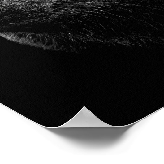 SCHWARZER BAR. POSTER (Ecke)