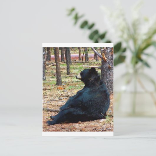 Schwarzer Bär Postkarte (Stehend Vorderseite)
