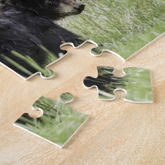 Schwarzer Bär PuzzlespielYellowstone Puzzle (Seite)