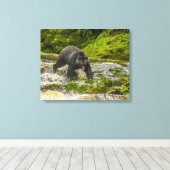 Schwarzer Bär | Qua Creek British Columbia Leinwanddruck (Insitu (Holzboden))