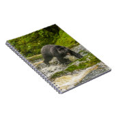 Schwarzer Bär | Qua Creek British Columbia Notizblock (Rechte Seite)