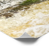 Schwarzer Bär | Qua Creek British Columbia Poster (Ecke)