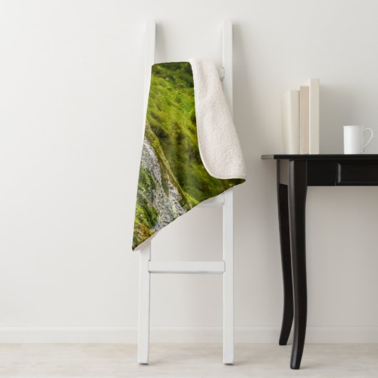 Schwarzer Bär | Qua Creek British Columbia Sherpadecke (Beispiel)