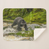 Schwarzer Bär | Qua Creek British Columbia Sherpadecke (Vorderseite (Horizontal))