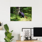 Schwarzer Bär "Scenting" Poster (Heimbüro)