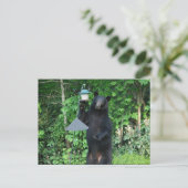 Schwarzer Bär - "So sieht er nicht aus!" Postkarte (Stehend Vorderseite)
