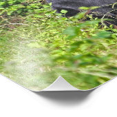 Schwarzer Bär Stehend Fotodruck (Ecke)