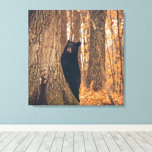 Schwarzer Bär Stehend von einem Baum Leinwanddruck (Insitu (Holzboden))