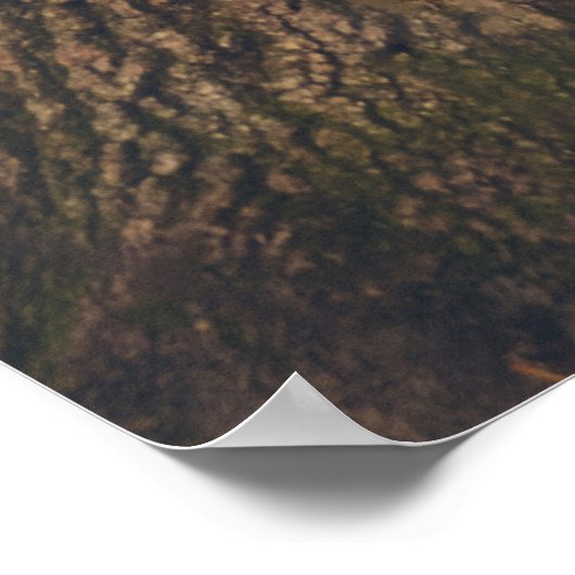 Schwarzer Bär Stehend von einem Baum Poster (Ecke)